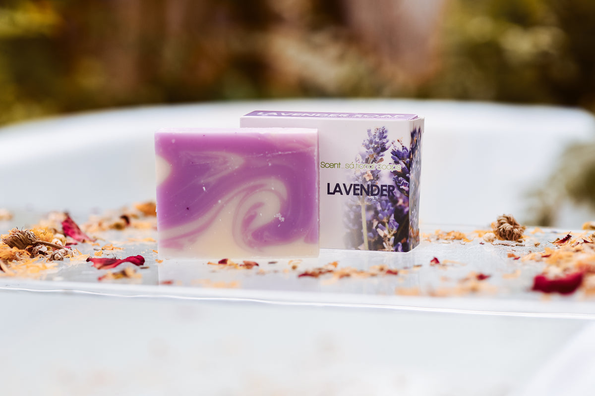 Lavender Soap Scentsational Soaps